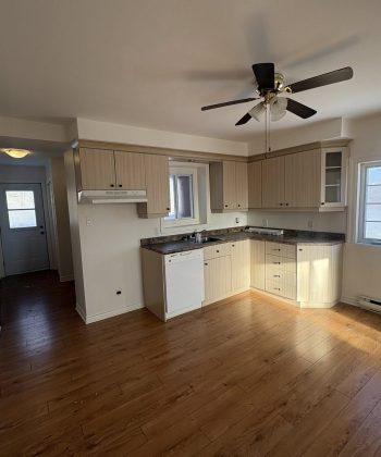 630468488_122161535384815599_2203906746432609227_n