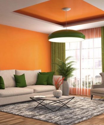 636661446_122162554178815599_6574228954808640409_n